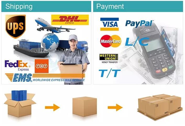 12.8V/12V 6ah Lithium Ion Battery LiFePO4 Battery Pack with BMS High Quality Long Cycle for Solar Lighting RV Tws with RoHS CE CB