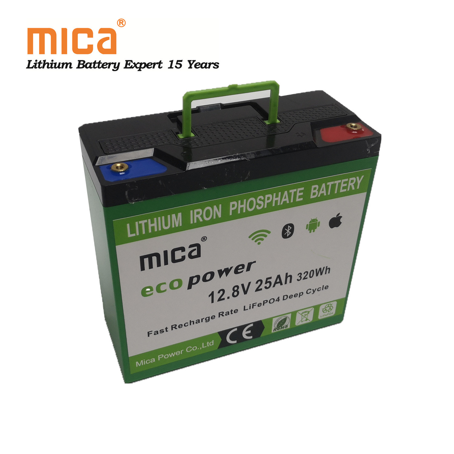 Factory Wholesale Lithium Ion 12V 25ah LiFePO4 Battery Pack with BMS LED Handhold
