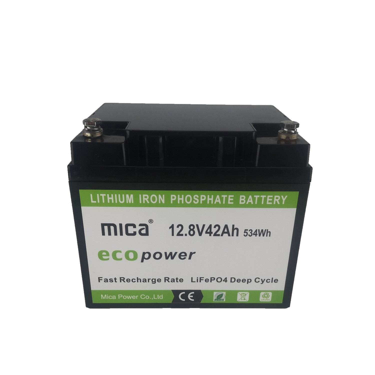 Mica Manufacture Supplier 12V 50ah 640wh ABS 48V Two-Seater Golf Cart Electric Forklift LiFePO4 Battery Pack