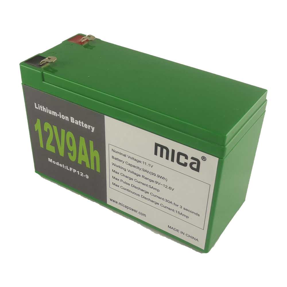 Factory Price 12V Deep Cycle Lipo4 LiFePO4 Lithium-Ion Batteries with Battery Management System