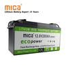 Deep Cycle Rechargeable Lithium Ion LiFePO4 12V 100ah 150ah 200ah 250ah 300ah Lithium Battery Pack