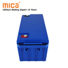 Rechargeable Deep Cycle LiFePO4 12V 100ah Lithium Ion Battery Packs for Camping Car Caravans Trailers Vans