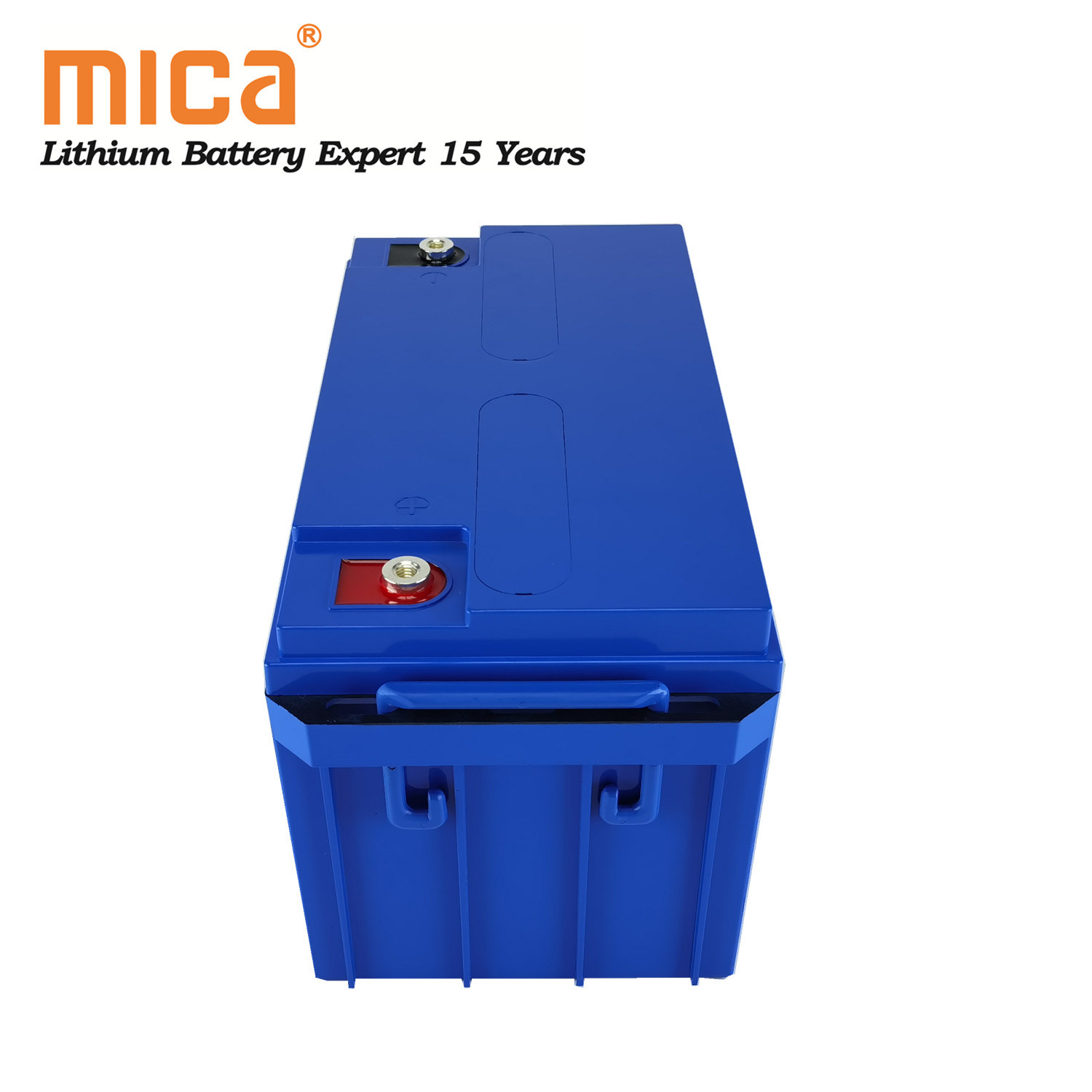 Rechargeable Deep Cycle LiFePO4 12V 100ah Lithium Ion Battery Packs for Camping Car Caravans Trailers Vans