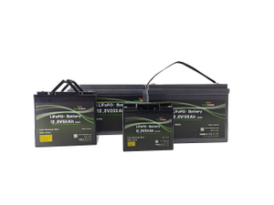 Factory OEM LiFePO4 Battery 12V 50ah/100ah Lithium Ion Battery Packs for RV/Motorhome/Solar System /Yacht/Golf Carts