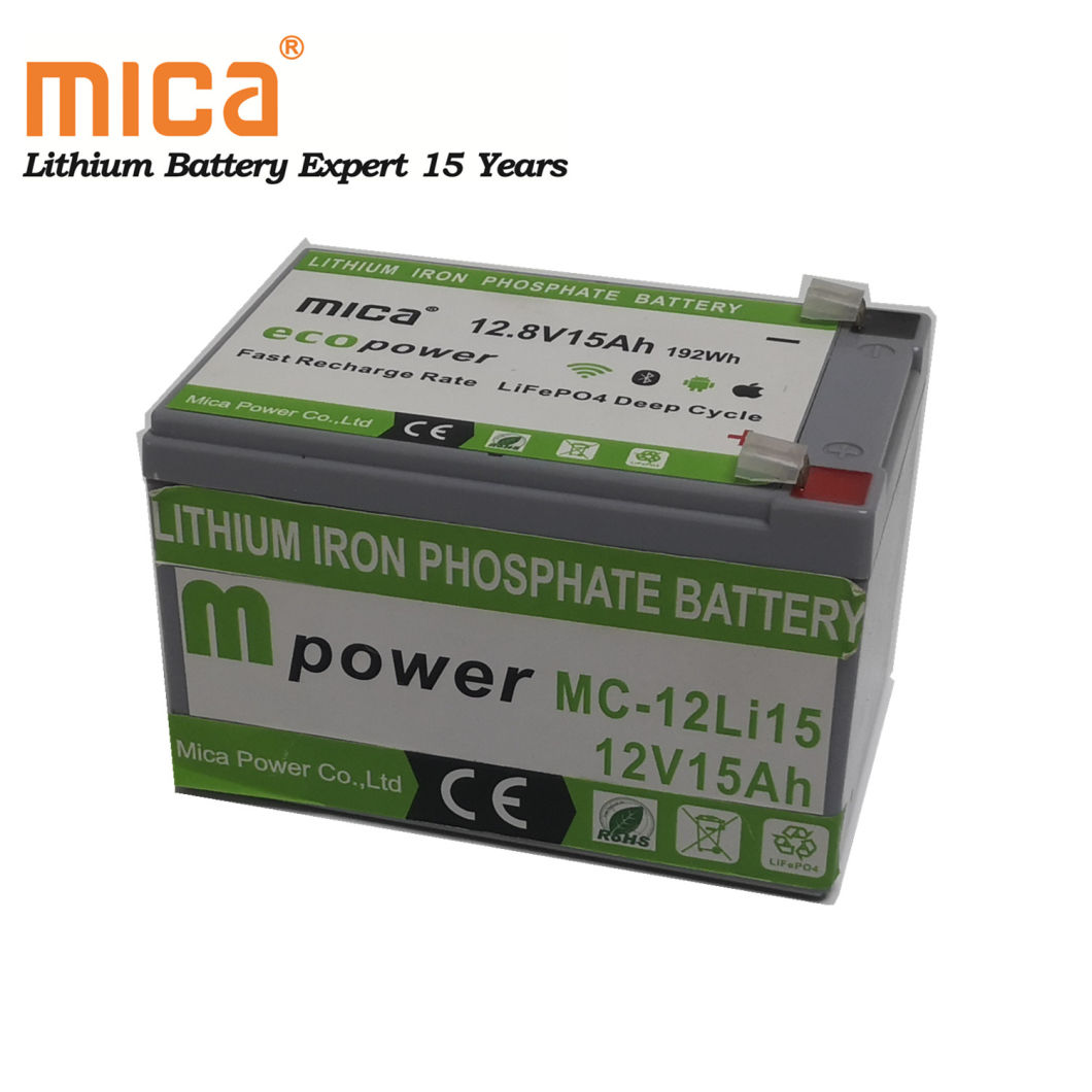 Deep Cycle Solar Light Lithium LiFePO4 12V 15ah Battery Pack for Energy Storage Solution with BMS