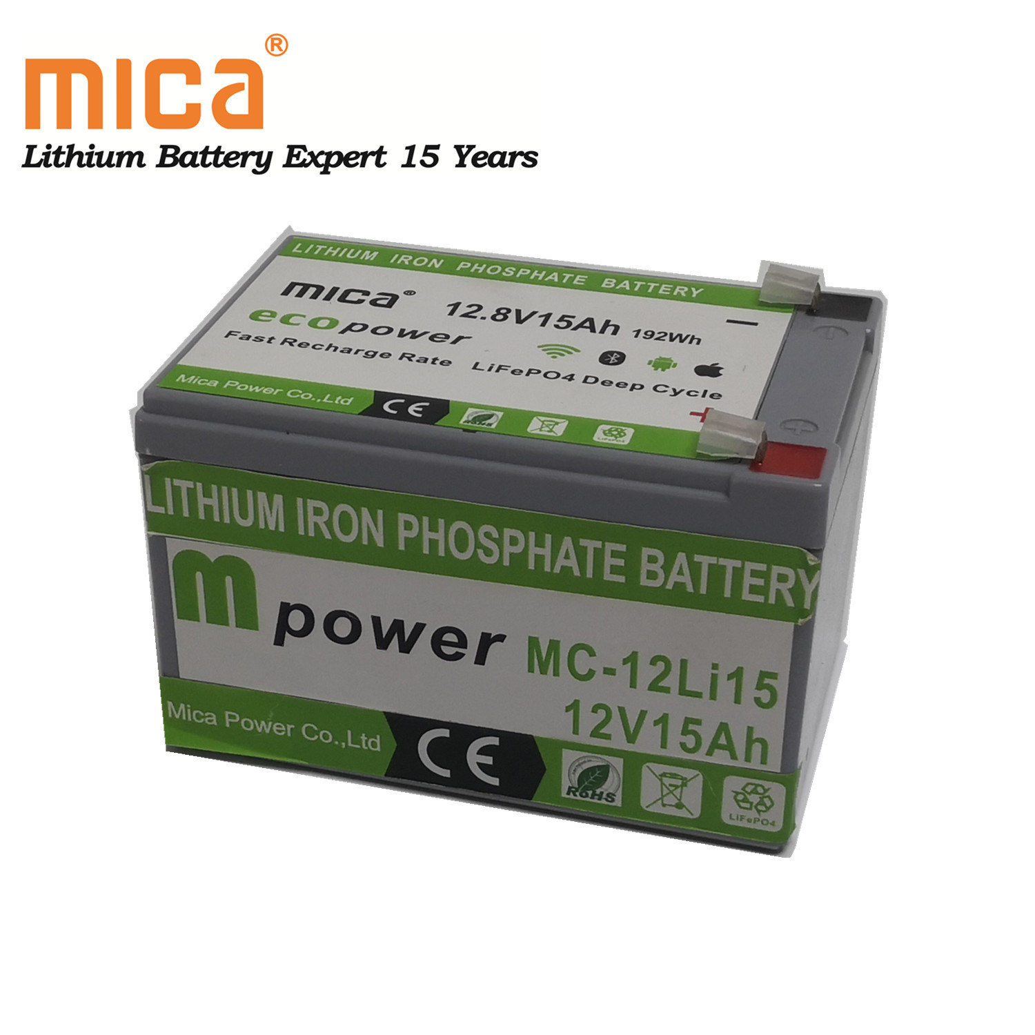 Deep Cycle Solar Light Lithium LiFePO4 12V 15ah Battery Pack for Energy Storage Solution with BMS