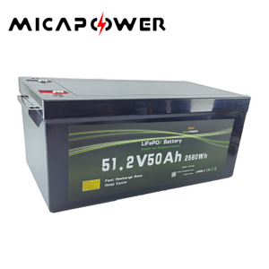 Mica 2.56kwh Customize Logo/Design LiFePO4 Battery Pack 48V 51.2V 50ah Lithium-Ion Battery