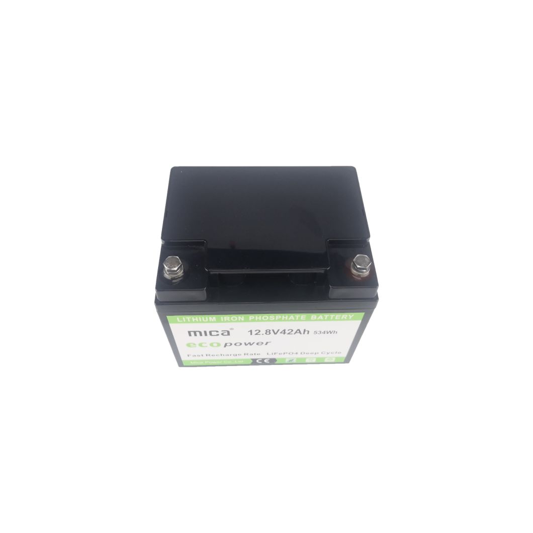LiFePO4 12V 12.8V 20ah 25ah 30ah 40ah 50ah Lithium Batteries 12V 42ah Battery OEM for Lead Acid Battery Replacement