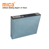 LFP28148115 Prismatic Flat Lithium Cell 3.2V 50ah 52ah 12V Golf Cart Electric Forklift LiFePO4 Battery