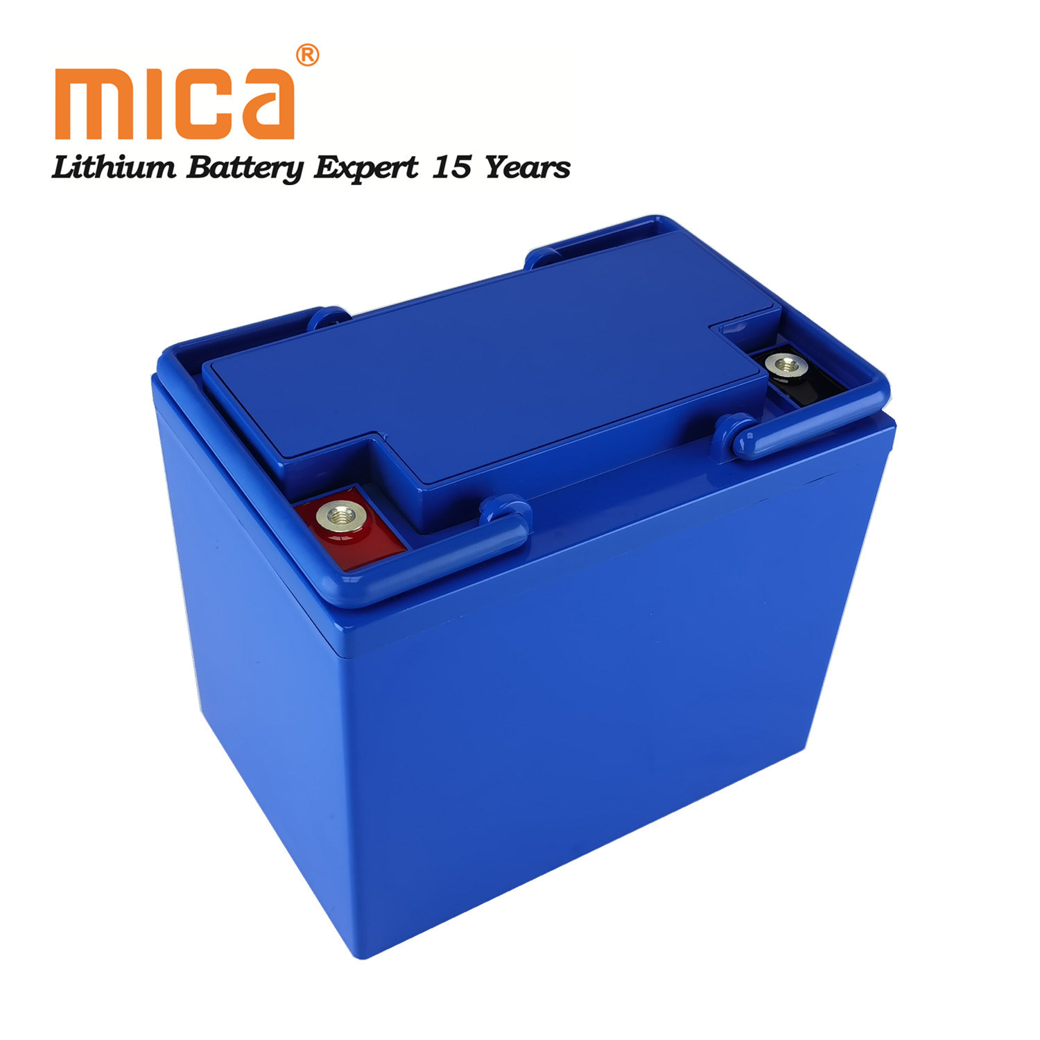 4000 Cycles 12V 52ah 50ah Lithium Iron Phosphate Llifepo4 Automobile Battery Pack with BMS