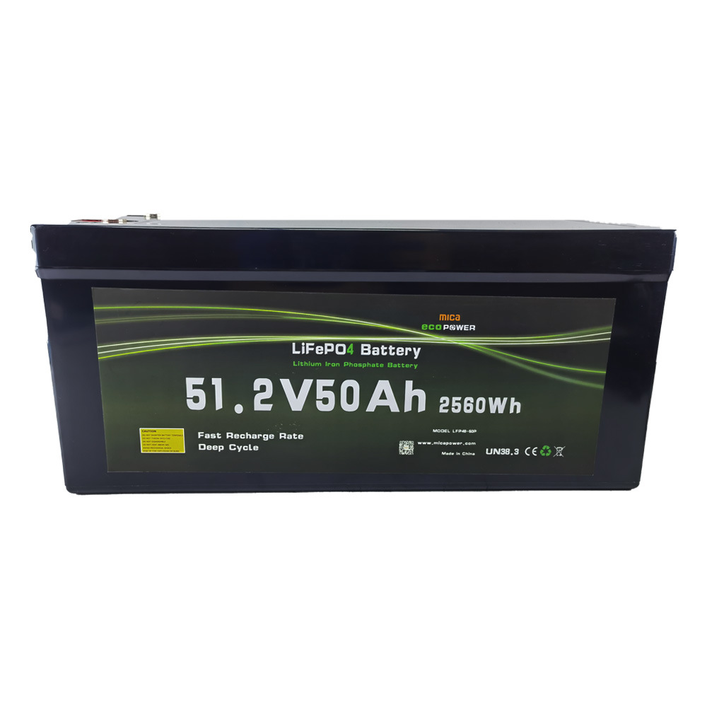 Grade a Battery Cell 48V 50ah LiFePO4 Battery Lithium Ion Battery for Solar Energy Storage PV System Marine Golf Cart Leisure RV with CE Lithium Battery