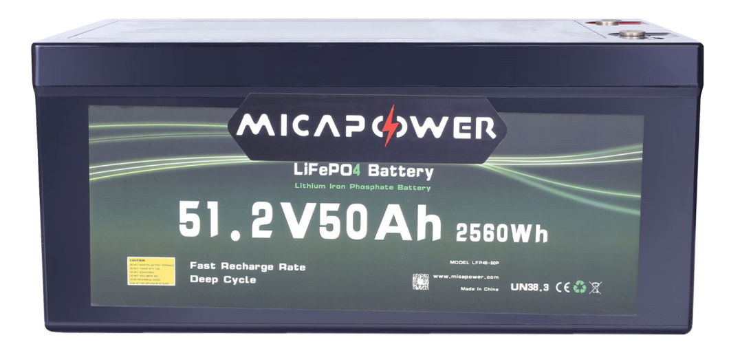 China Factory Lithium Solar Battery 51.2V 50ah LiFePO4 Battery for Solar System Lithium Ion Battery