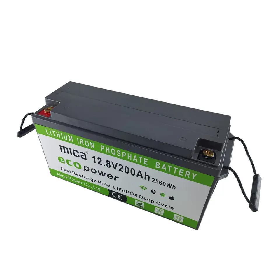 12V 24V Lithium Battery 100ah 200ah 300ah 50ah 12V/24V LiFePO4 Battery for Solar Factory Price