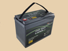 Deep Cycle IP65 Lithium Ion 12V100ah 200ah LiFePO4 Solar Storage Battery with BMS for RV Golf Cart