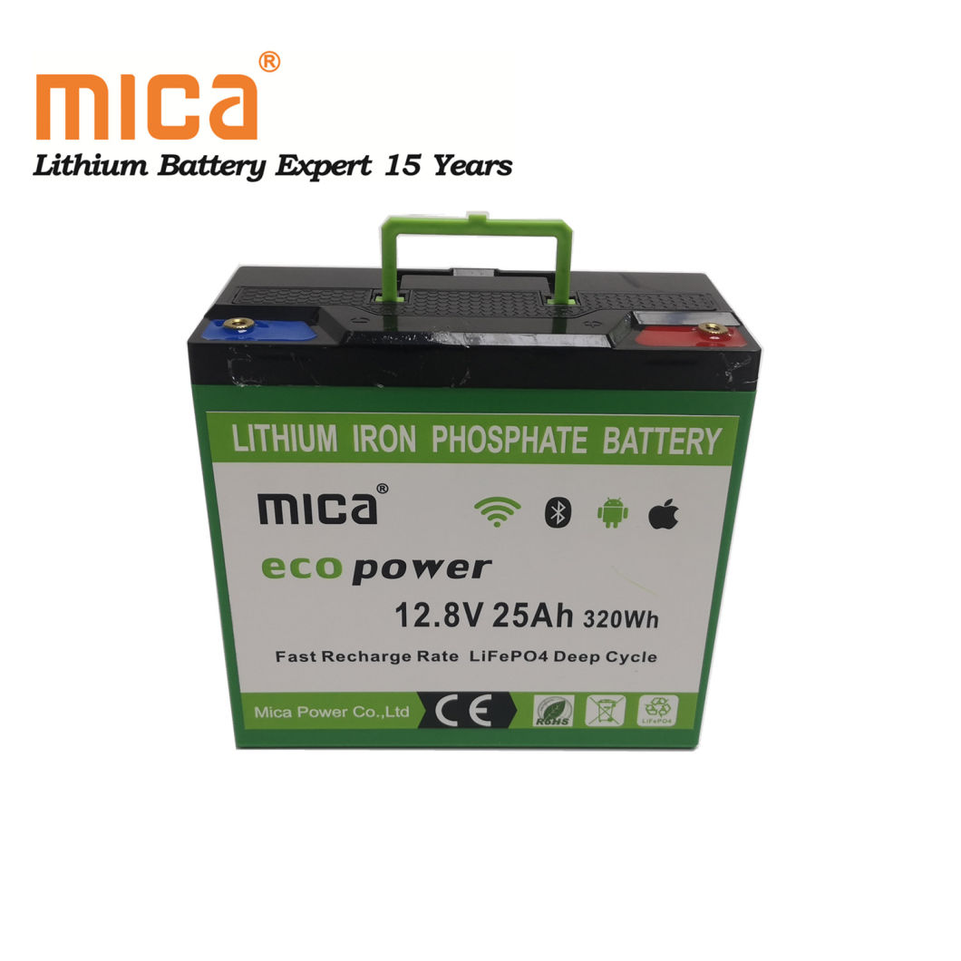 Factory Wholesale Lithium Ion 12V 25ah LiFePO4 Battery Pack with BMS LED Handhold