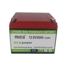 Wholesale Deep Cycle Lithium Iron Phosphate LiFePO4 Battery Pack for RV Solar Marine 12V 26ah