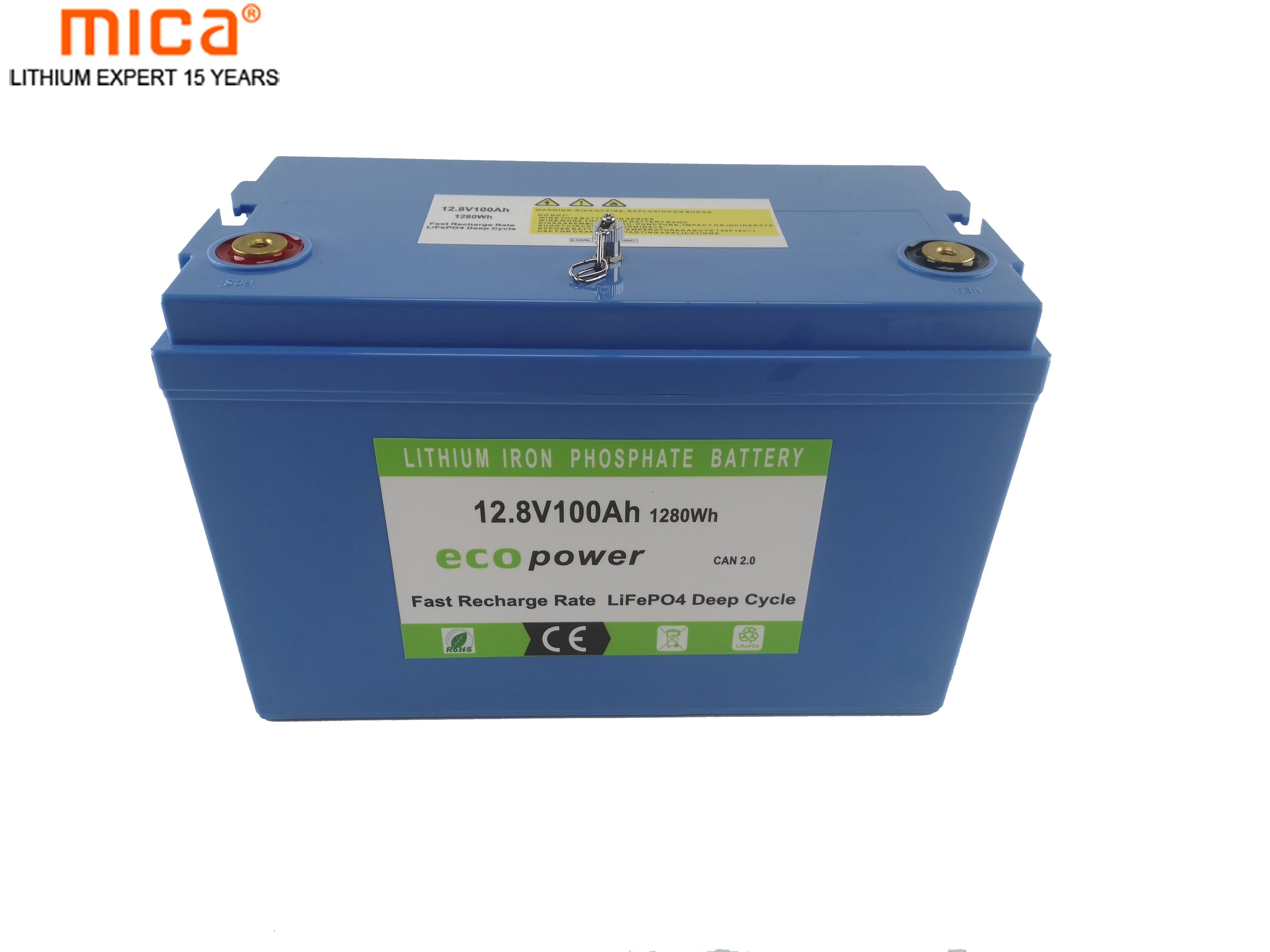 Rechargeable Customized 12/12.8V 100ah/150ah/200ah LiFePO4 Lithium Ion Battery Pack with Highly Durable ABS Enclosure