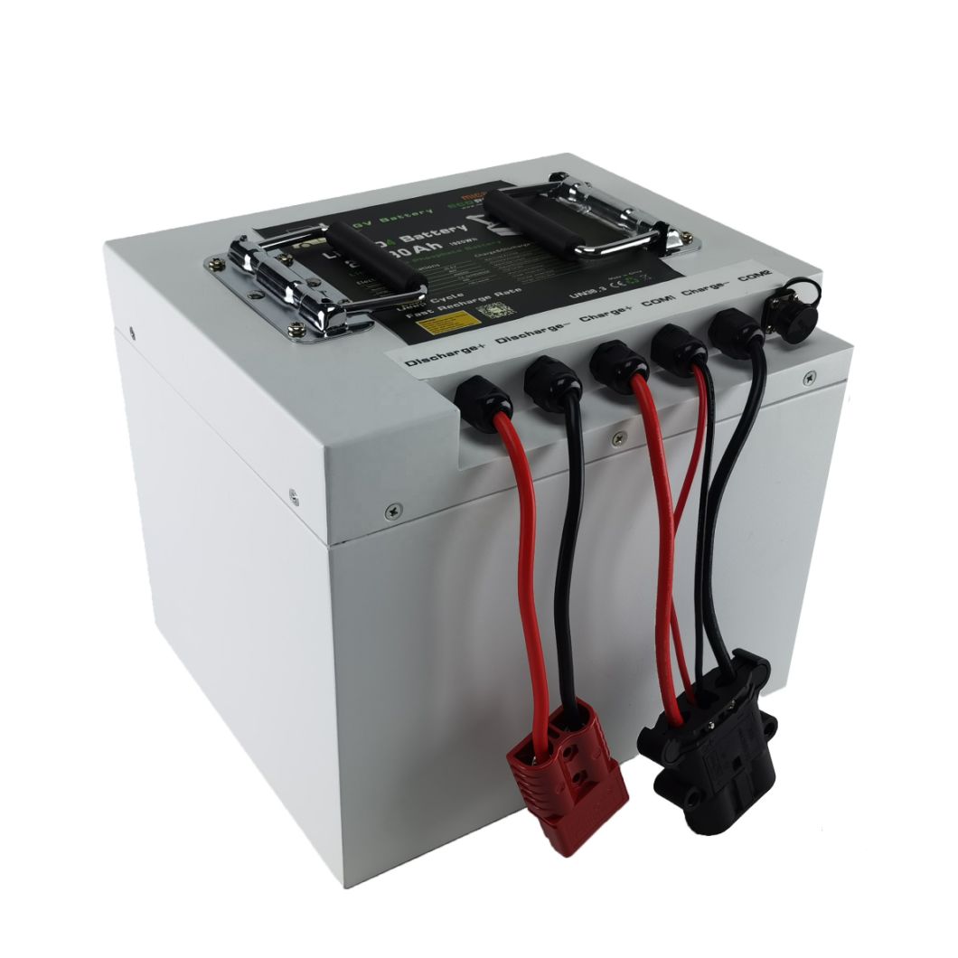 Factory Price LiFePO4 Battery 24V 25.6V 120ah Agv Electric Forklift Trolley Cart Lithium Battery Pack