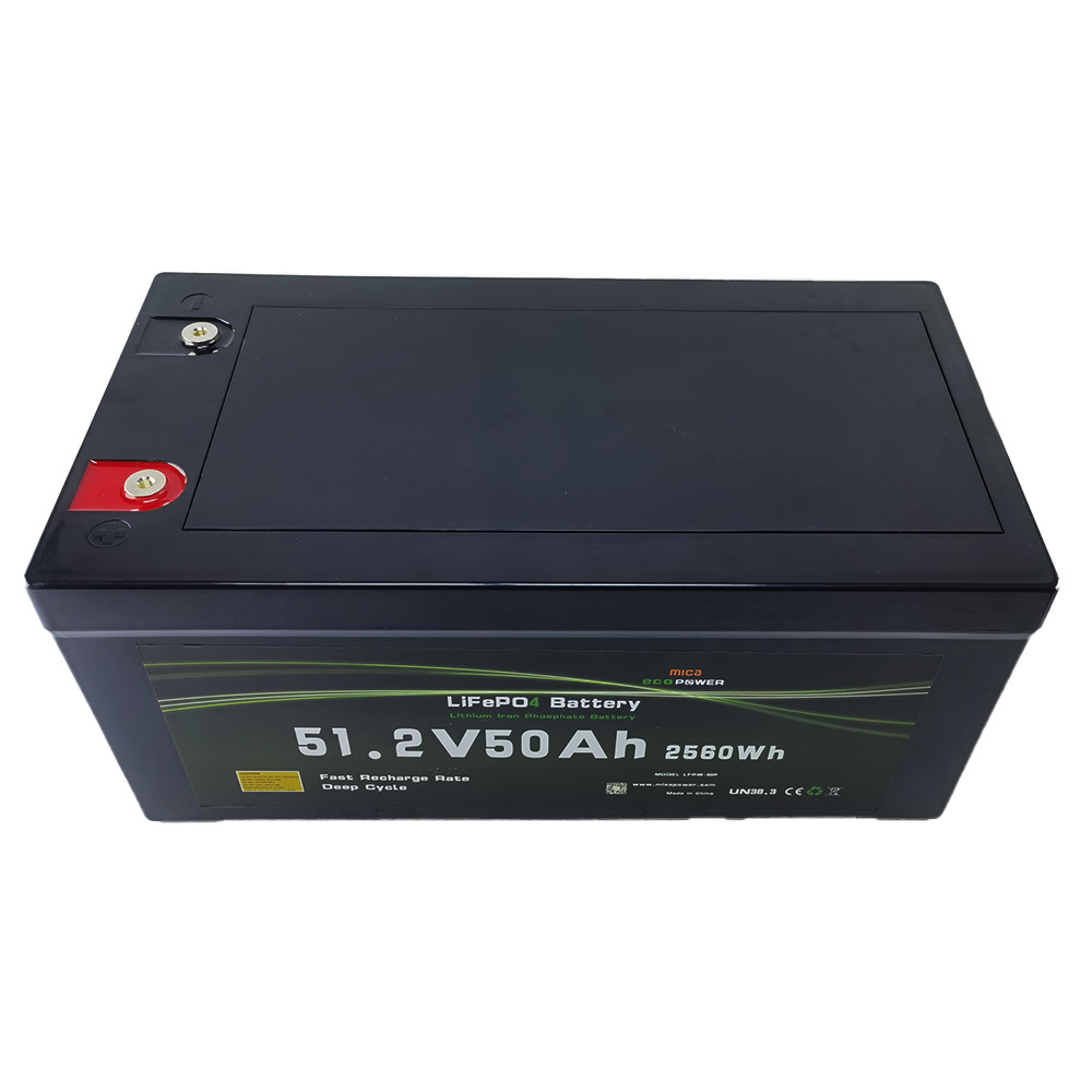 48V Battery Lithium Battery LiFePO4 Battery for Solar Energy System Camper Electric Boat with CE MSDS Un38.3 UL