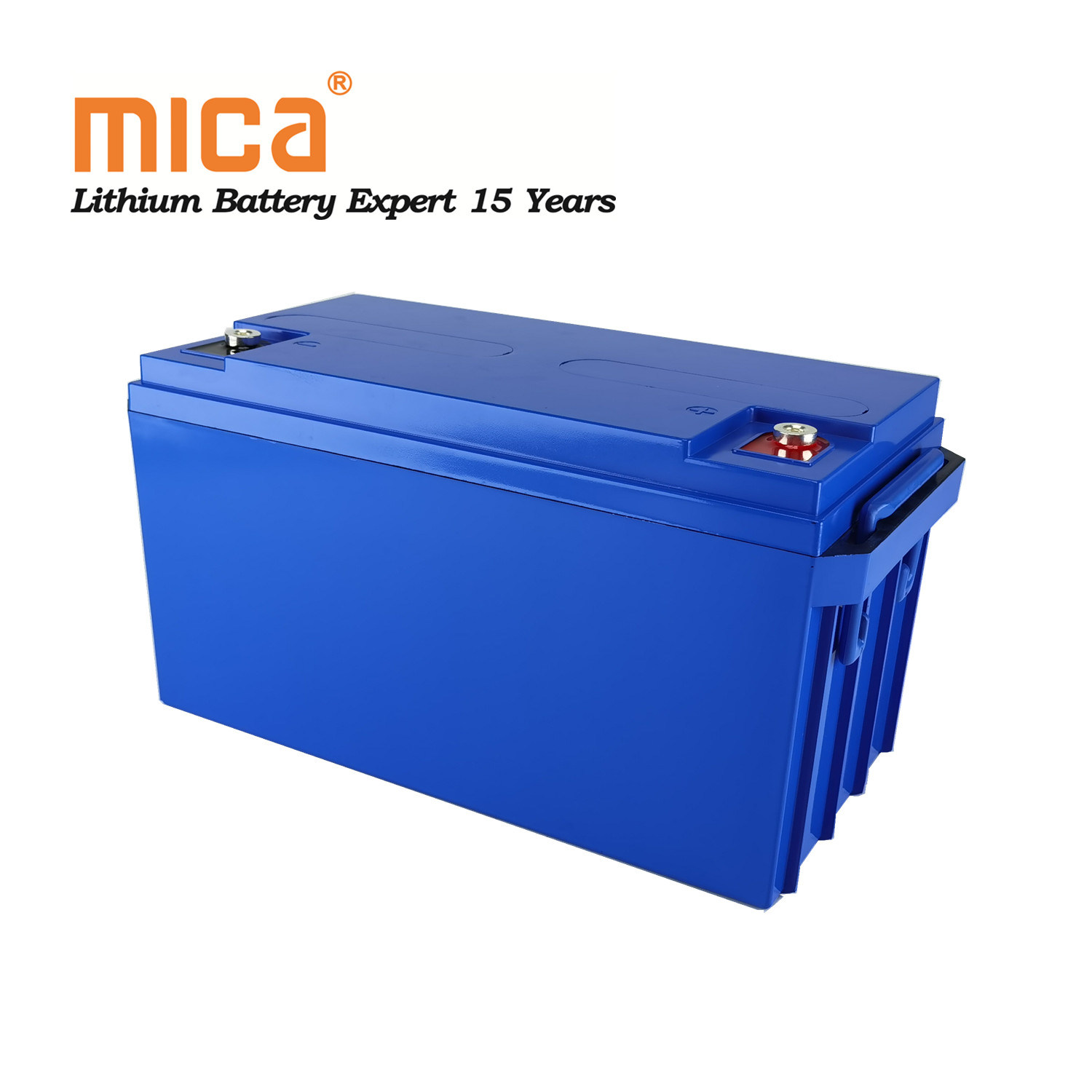 Rechargeable Deep Cycle LiFePO4 12V 100ah Lithium Ion Battery Packs for Camping Car Caravans Trailers Vans
