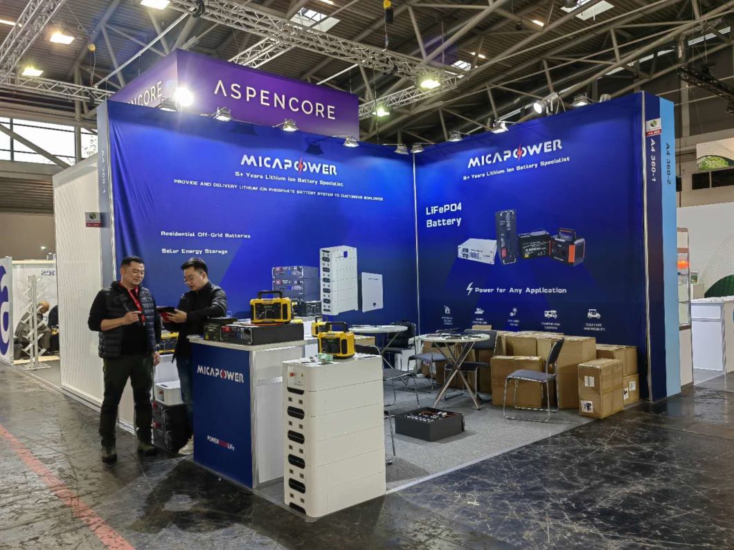 Mica 12V 600ah Rechargeable LiFePO4 Prismatic Lithium Ion Battery 12V 200ah 300ah 120ah 600ah Batteries