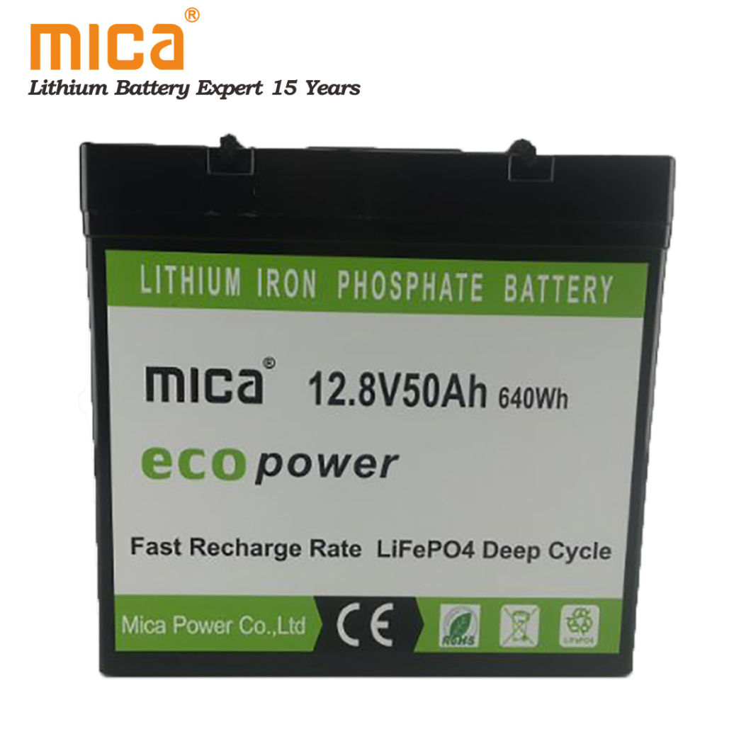 Deep Cycle Lithium Iron Phosphate Battery 12V40ah 50ah Battery Pack