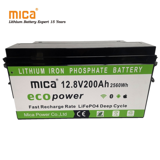 12V 200ah 2.56kwh Lithium Iron Phosphate Solar Battery Pack for PV Energy Storage System Ess