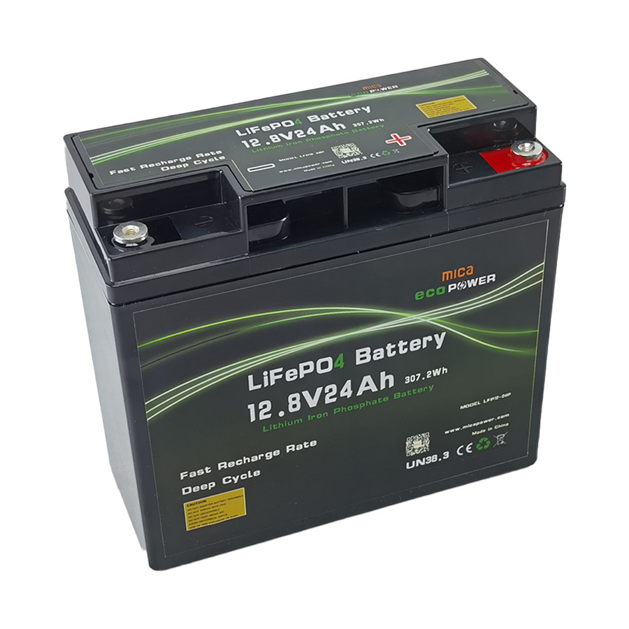 12V 24ah LiFePO4 Lithium Iron Phosphate Battery Pack ABS Case for Solar Energy Storage