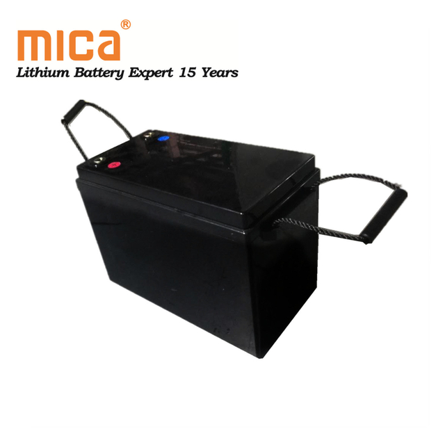 LiFePO4 Battery 12V 120ah with BMS Lithium RV Battery Replacement Sealed Lead Acid Battery Pack