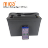 Support Series/Parallels Application Lithium Ion 12V 100ah LiFePO4 Battery with Bluetooth APP Controlled USB Port