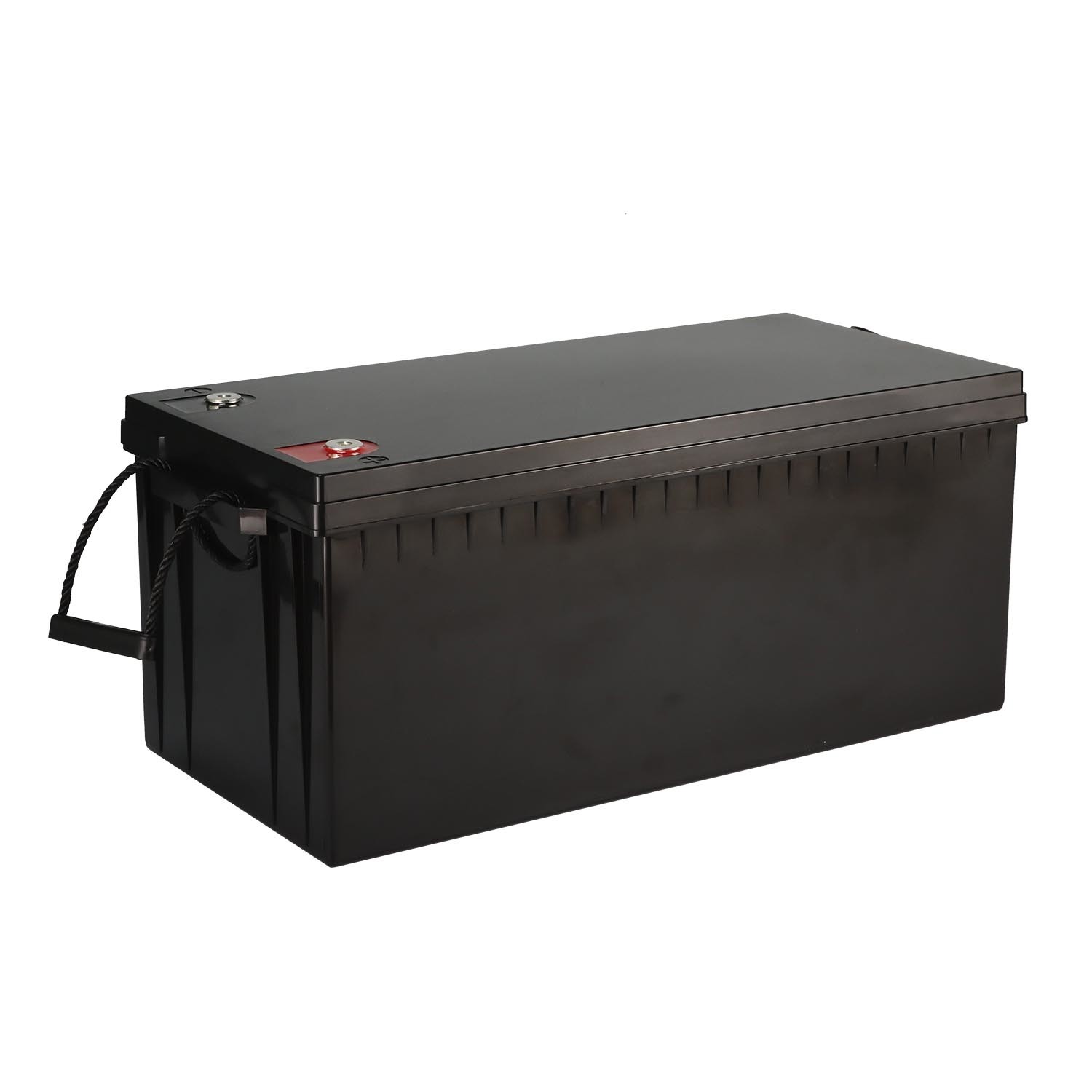 LiFePO4 Deep Cycle Battery 25.6V 24V 100ah 150ah LFP 200ah Battery with Built-in BMS