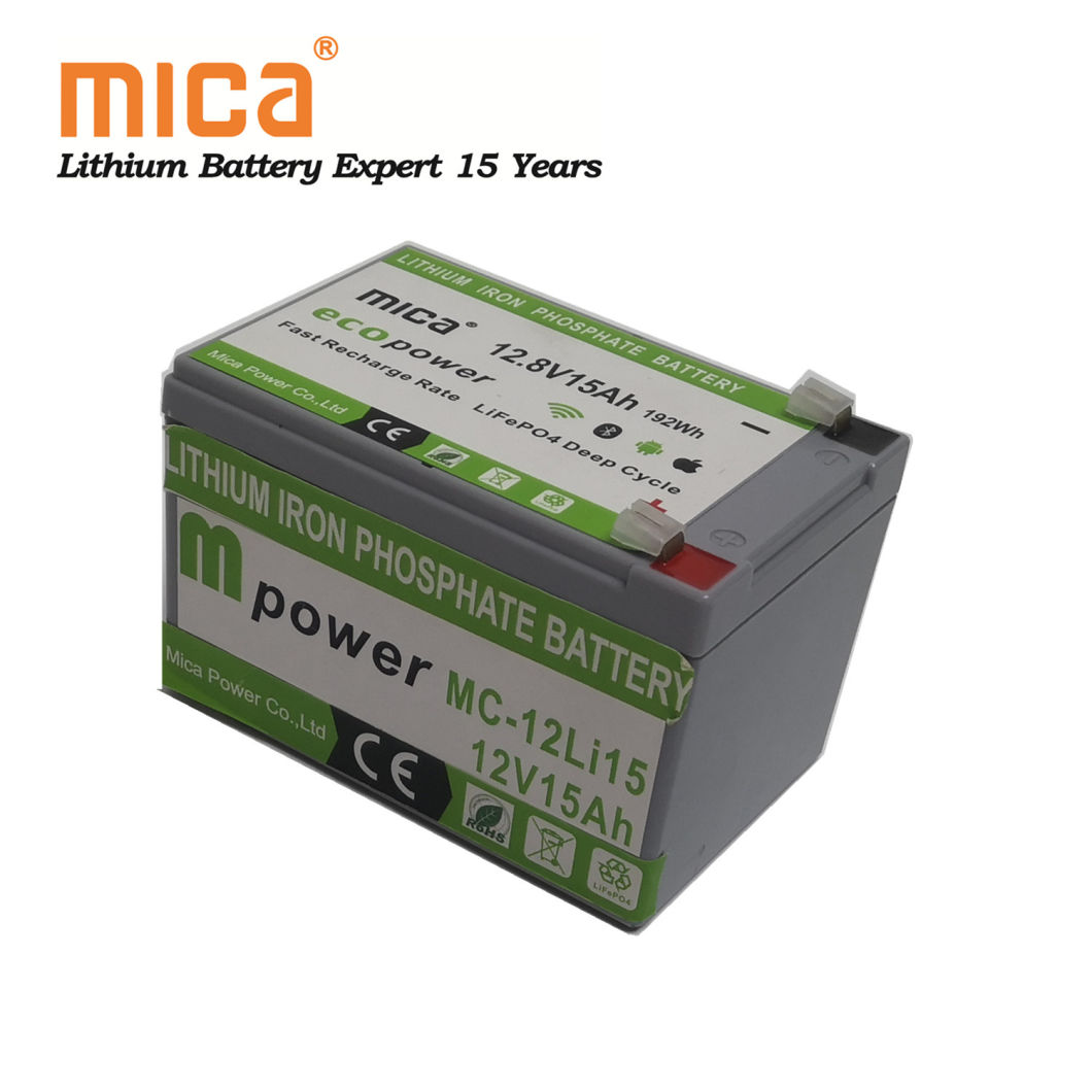 Deep Cycle Solar Light Lithium LiFePO4 12V 15ah Battery Pack for Energy Storage Solution with BMS