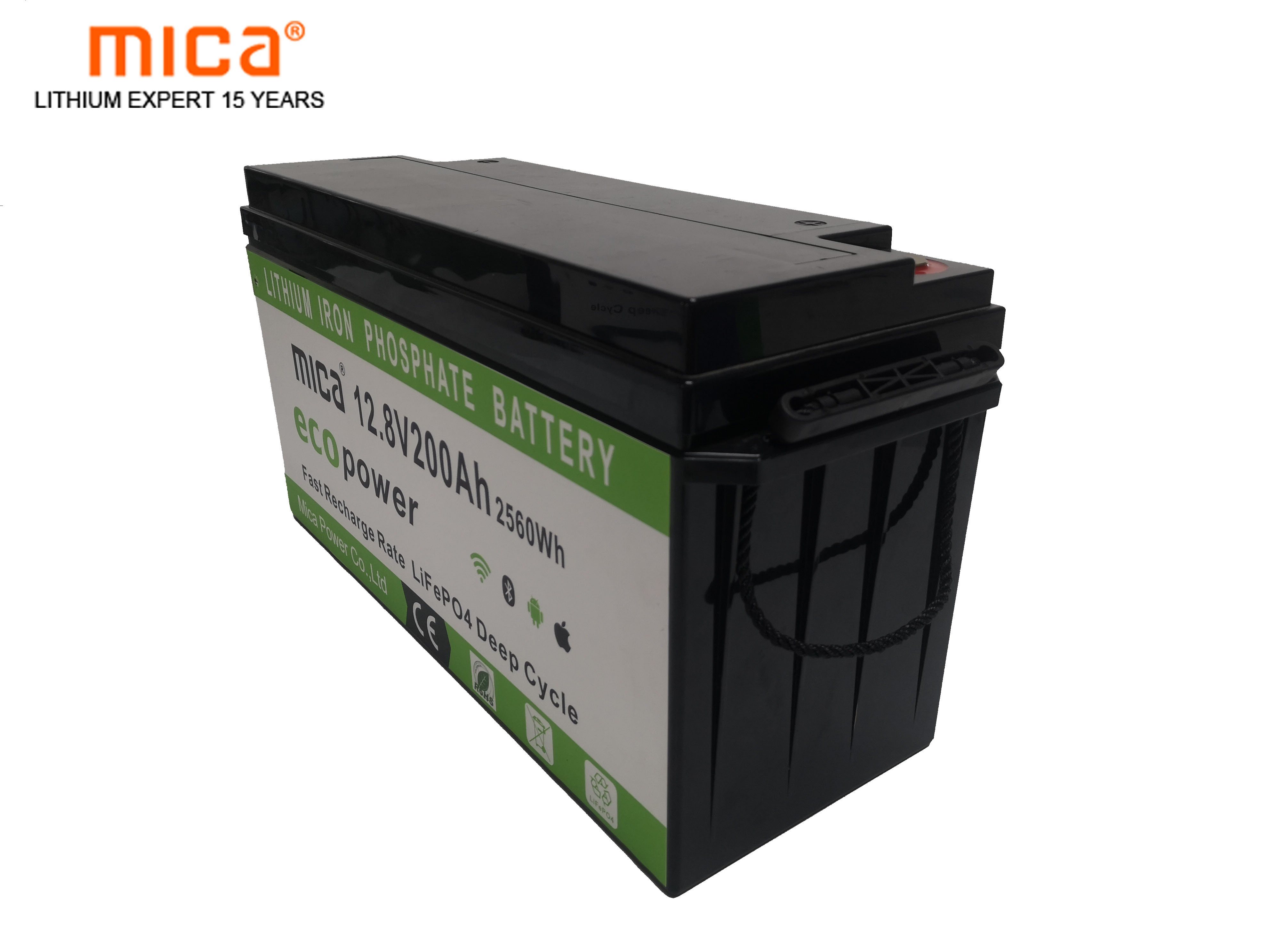 12V 200ah 2.56kwh Lithium Iron Phosphate Solar Battery Pack for PV Energy Storage System Ess