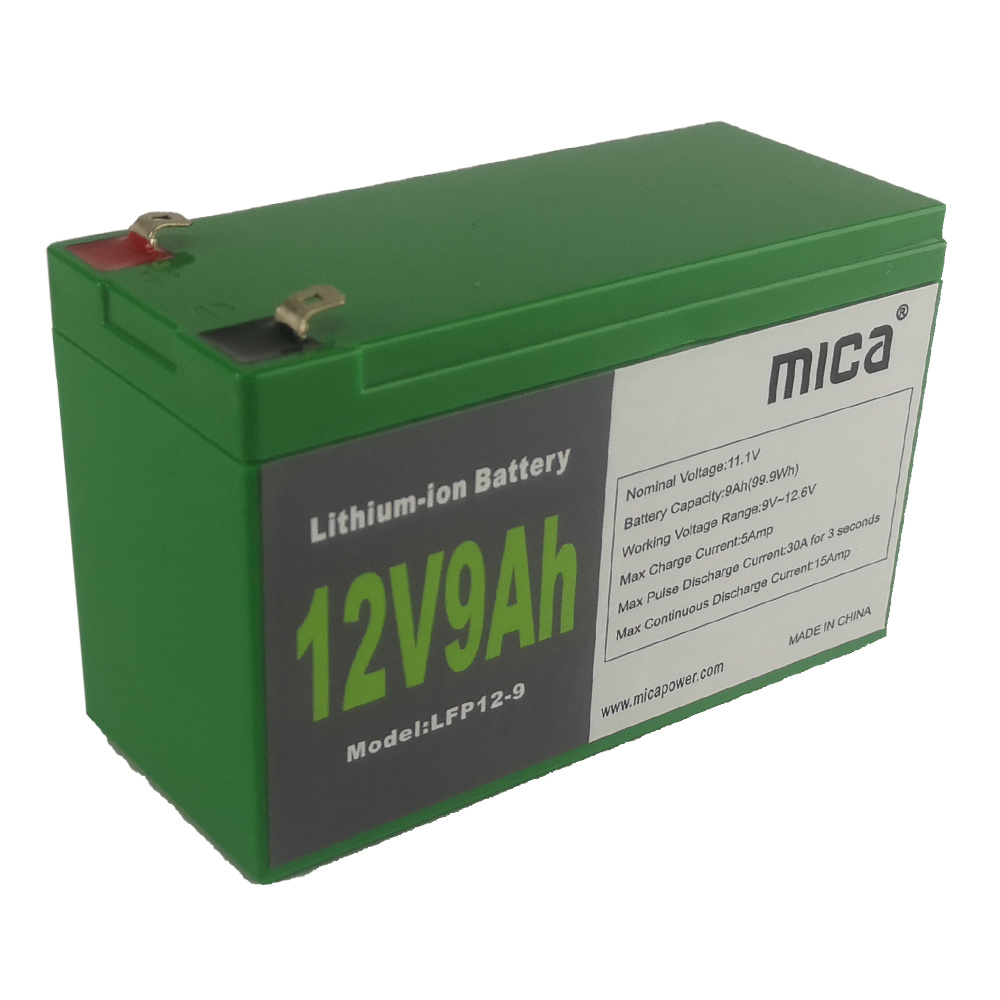 Factory Price 12V Deep Cycle Lipo4 LiFePO4 Lithium-Ion Batteries with Battery Management System