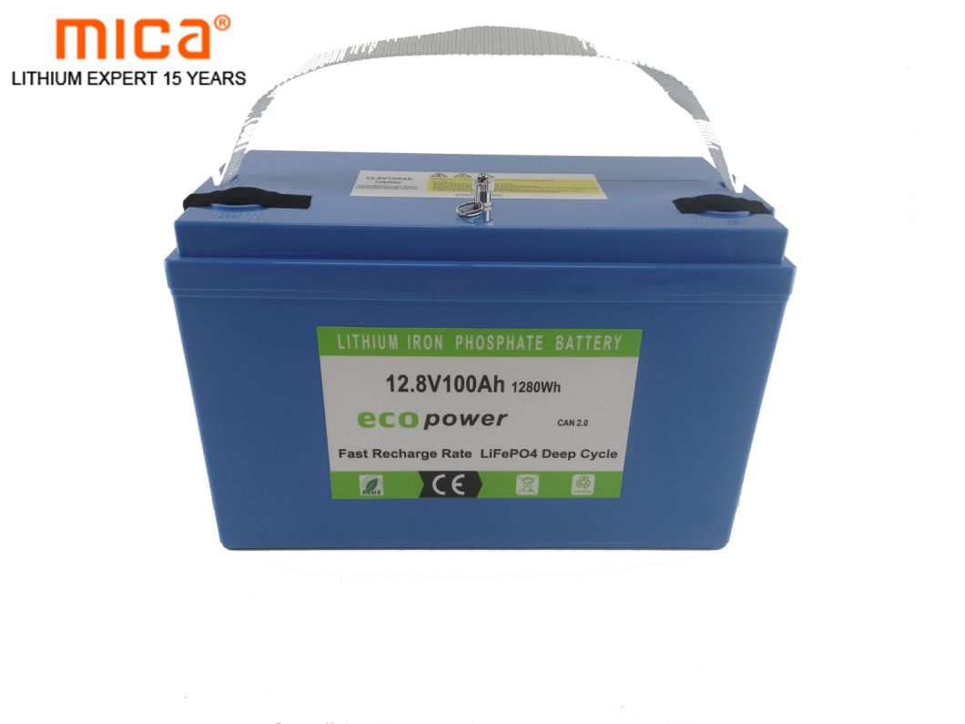 5 Years Warranty LiFePO4 12V 100ah Solar Storage Battery Pack with Solar Controller