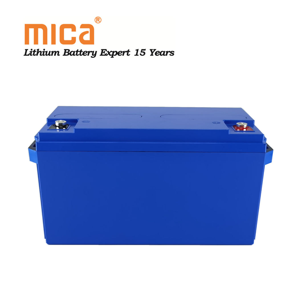 Rechargeable Deep Cycle LiFePO4 12V 100ah Lithium Ion Battery Packs for Camping Car Caravans Trailers Vans