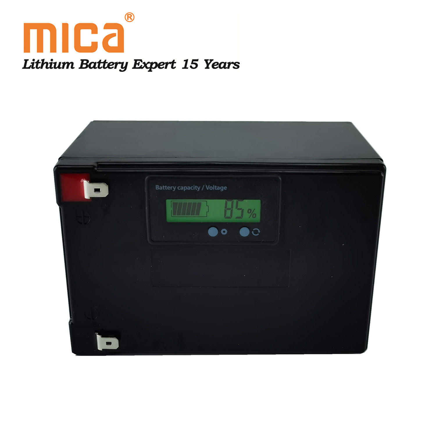 12.8V Deep Cycle Lithium 12V 10ah 12ah Lithium Ion Battery Pack for Fishing Machine