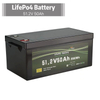 Deep Cycle 12V 24V 50ah 100ah 200ah 300ah Lithium Ion LiFePO4 Battery for Power and Solar Storage Bateria De Ion De Litio