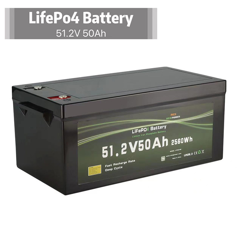 Deep Cycle 12V 24V 50ah 100ah 200ah 300ah Lithium Ion LiFePO4 Battery for Power and Solar Storage Bateria De Ion De Litio