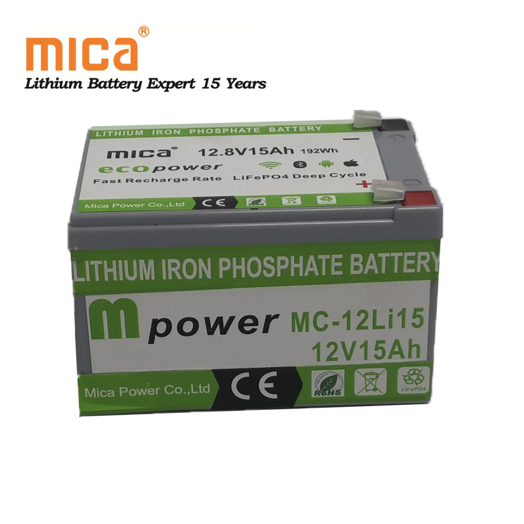 Deep Cycle Solar Light Lithium LiFePO4 12V 15ah Battery Pack for Energy Storage Solution with BMS