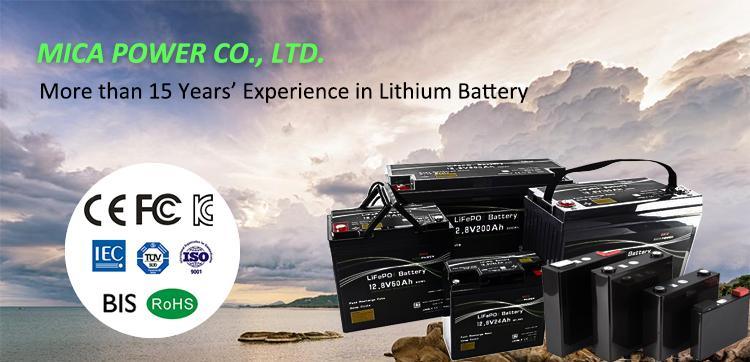 High Capacity 12V 200ah 2560wh Deep Cycle Rechargeable Lithium Ion LiFePO4 Battery Pack with BMS