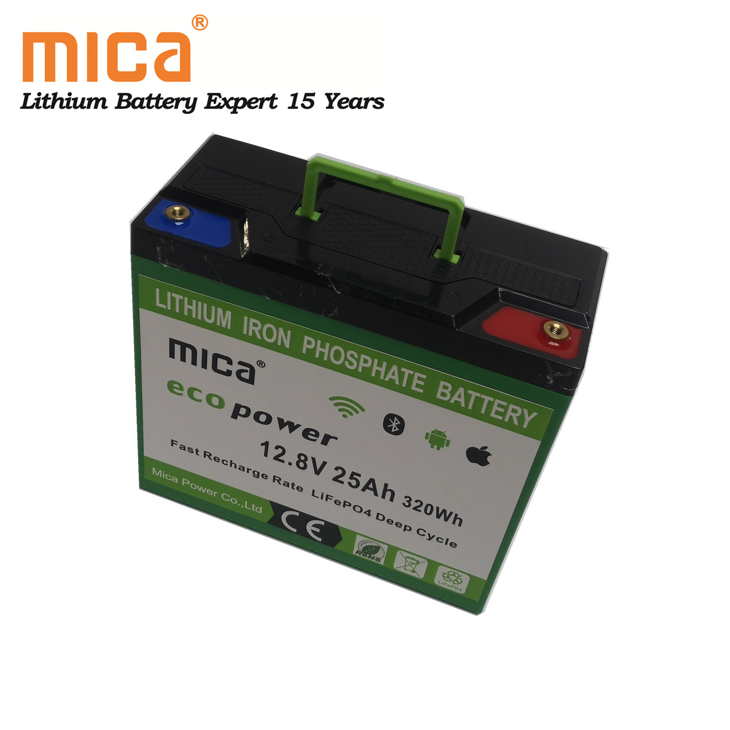 Factory Wholesale Lithium Ion 12V 25ah LiFePO4 Battery Pack with BMS LED Handhold