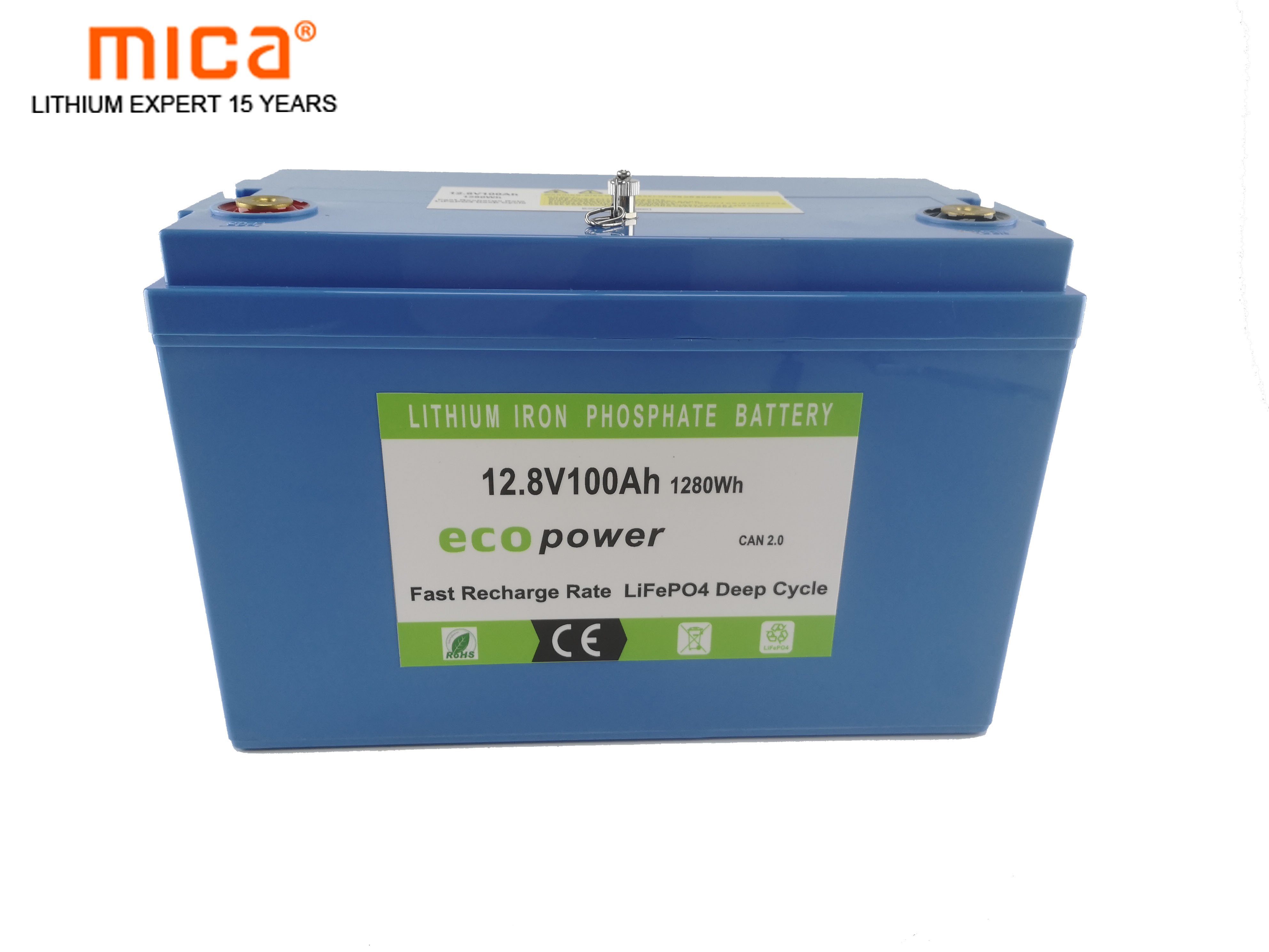 Rechargeable Customized 12/12.8V 100ah/150ah/200ah LiFePO4 Lithium Ion Battery Pack with Highly Durable ABS Enclosure