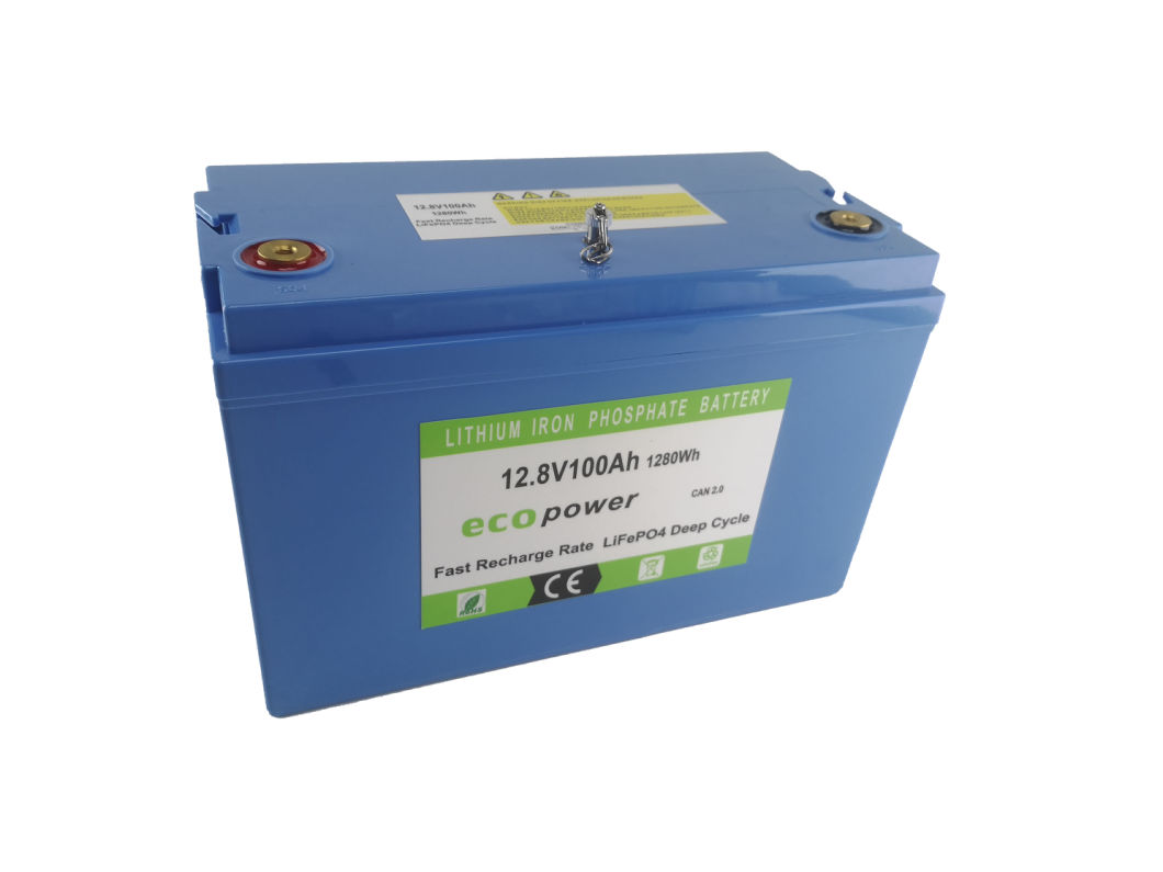 Rechargeable Customized 12/12.8V 100ah/150ah/200ah LiFePO4 Lithium Ion Battery Pack with Highly Durable ABS Enclosure