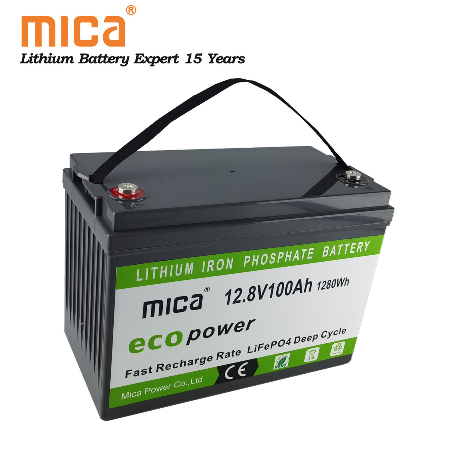 BMS Built-in Long Life RV LiFePO4 12V 100ah Deep Cycle Lithium Ion Batteries LiFePO4 Battery Pack