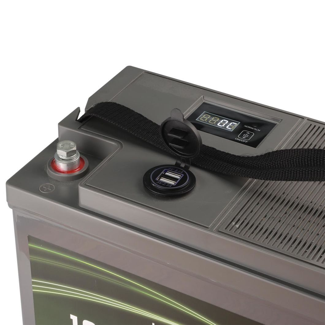 Bluetooth APP 12V 100ah Solar Lithium Lihtium Phosphate Battery LiFePO4 Battery for RV Camper Golf Cart with Dual USB LCD Display with Un38.3 MSDS Report