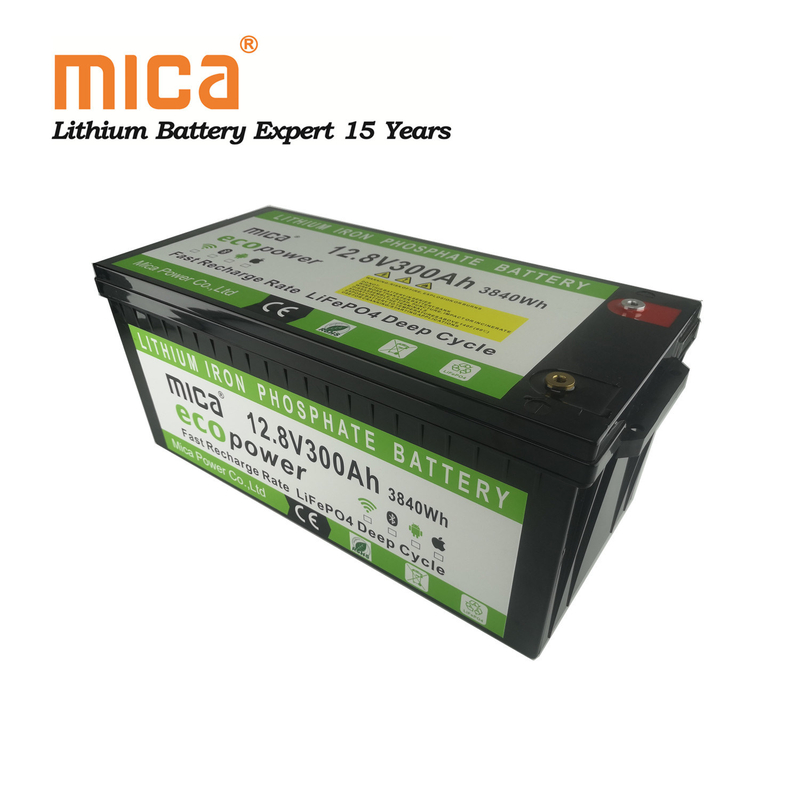 Deep Cycle 12V LiFePO4 12.8V 300ah Lithium Ion Battery with BMS for Solar Systems RV Forklifts
