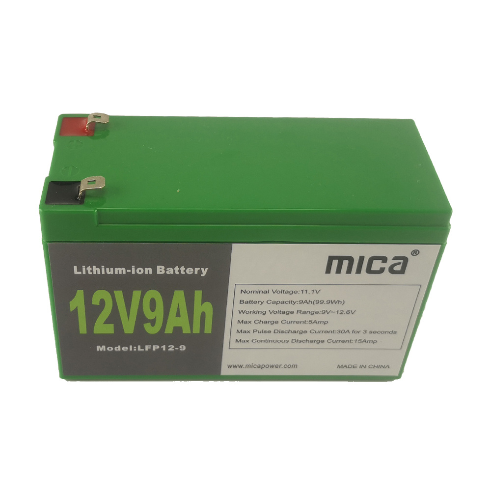 Factory Price 12V Deep Cycle Lipo4 LiFePO4 Lithium-Ion Batteries with Battery Management System