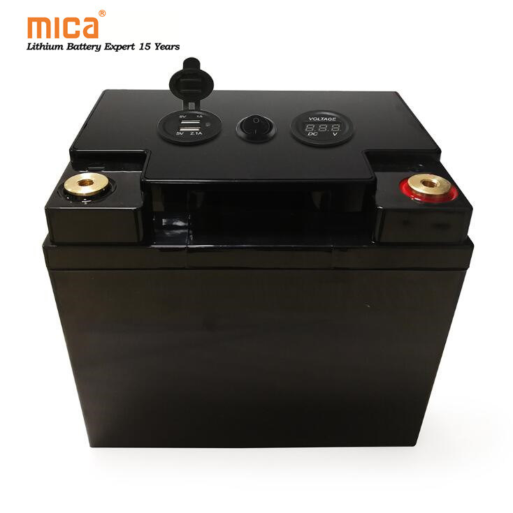 Lithium Ion Battery Pack 12V 40ah for Speed Boat/Jet Boat Auto Rickshaw Battery