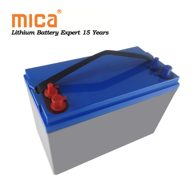 Chinese Manufacturer Lithium Iron Phosphate Battery Pack 12V 100ah for 12V 200ah /400ah / 600ah LiFePO4 Battery Pack